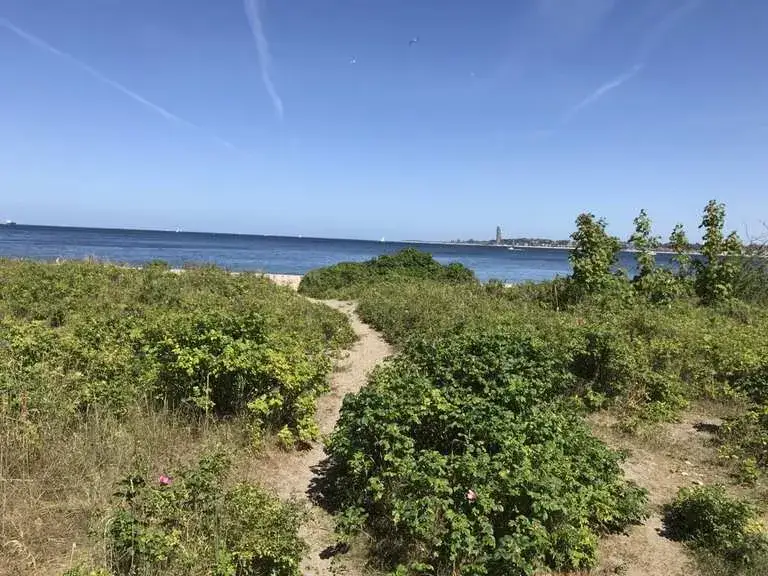 Zdjęcie Kilonia atrakcje: odkryj ukryte skarby i najlepsze miejsca do zwiedzania