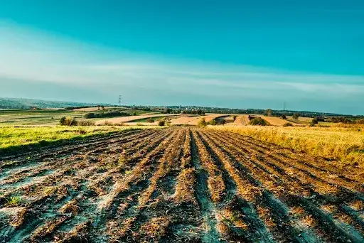 Zdjęcie Ile kosztuje metr działki rolnej? Sprawdź ceny w różnych regionach