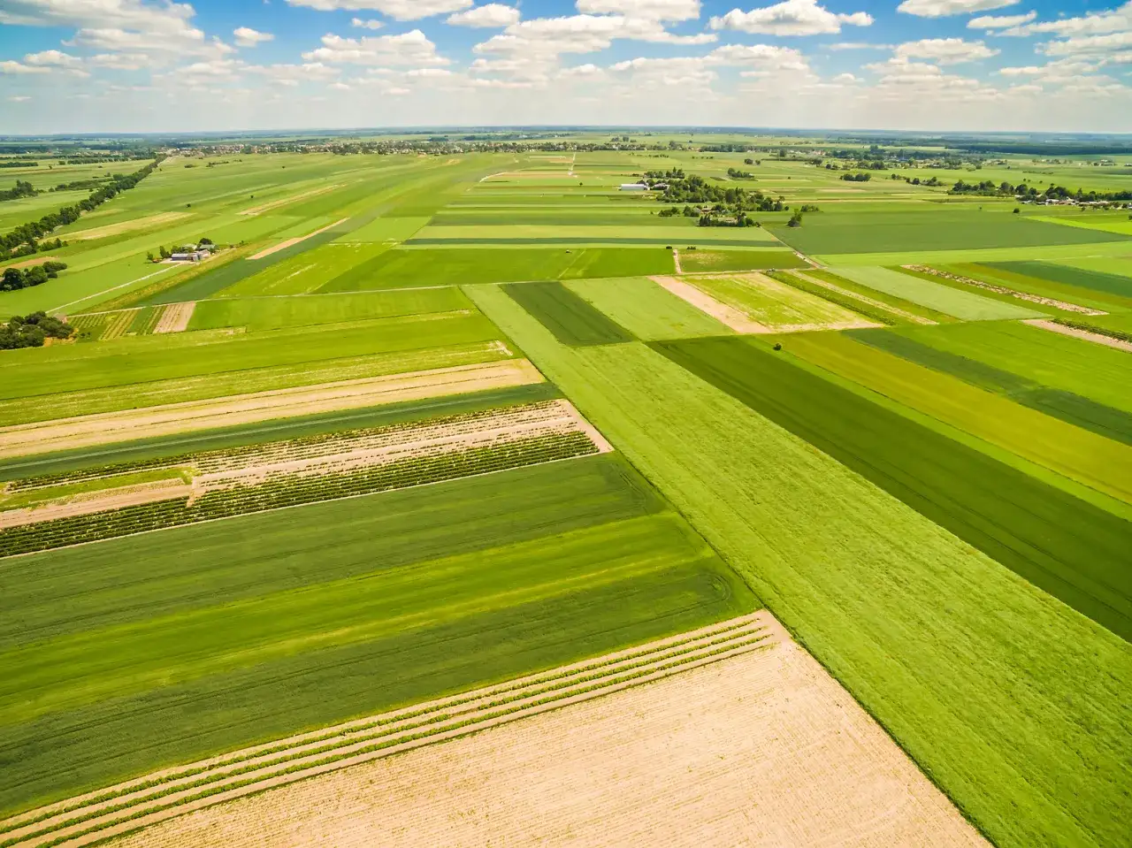 Zdjęcie Jak szybko i łatwo znaleźć numery działek w Polsce