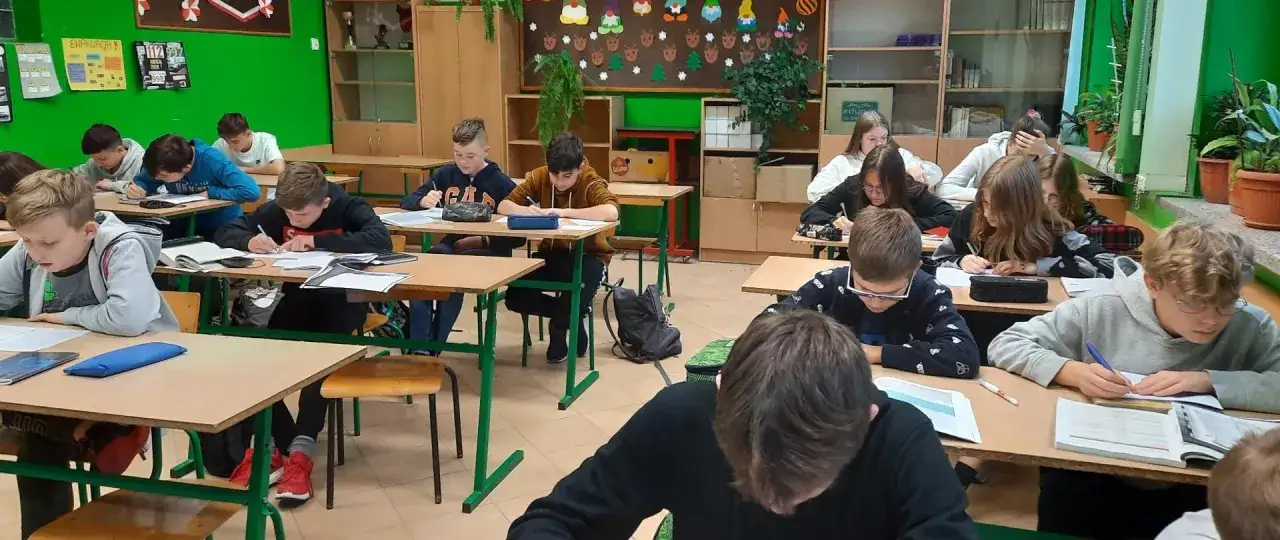 Zdjęcie Zajęcia wyr&oacute;wnawcze z języka polskiego klasa 8 - popraw swoje umiejętności