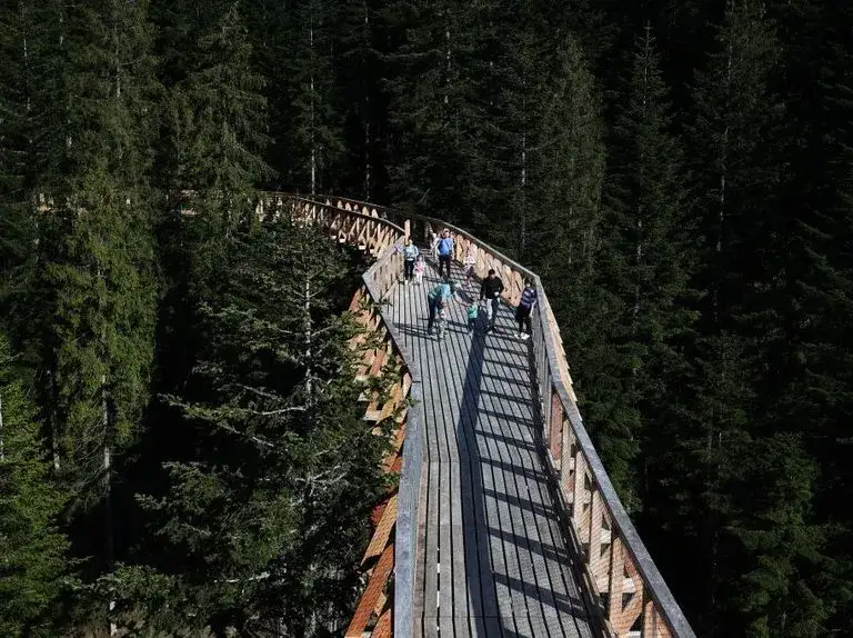 Zdjęcie Brama w Gorce – gdzie to jest i jak dojechać do tego miejsca?