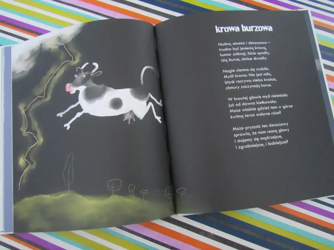 Zdjęcie Czarna krowa w kropki bordo wiersz – odkryj jego ukryte znaczenie