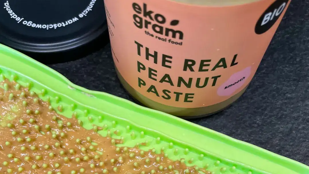 Zdjęcie Czy psy mogą jeść masło orzechowe? Sprawdź, co musisz wiedzieć