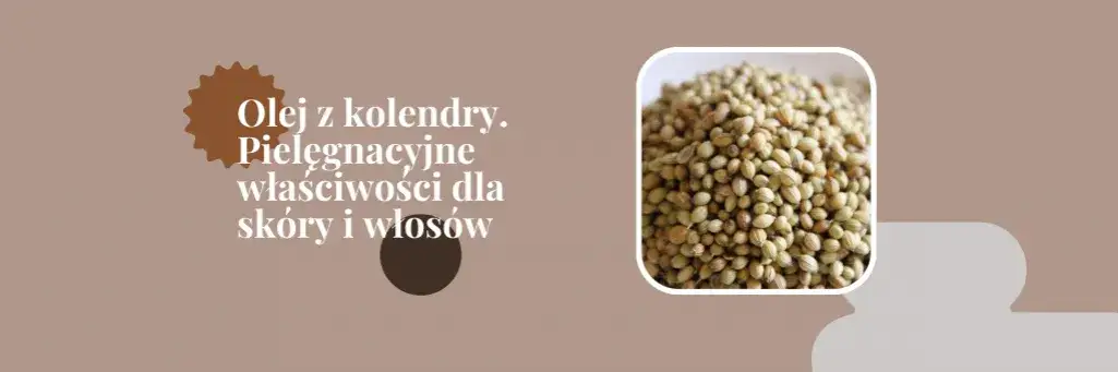 Zdjęcie Gdzie kupić olej kolendry siewnej? Sprawdź najlepsze oferty online