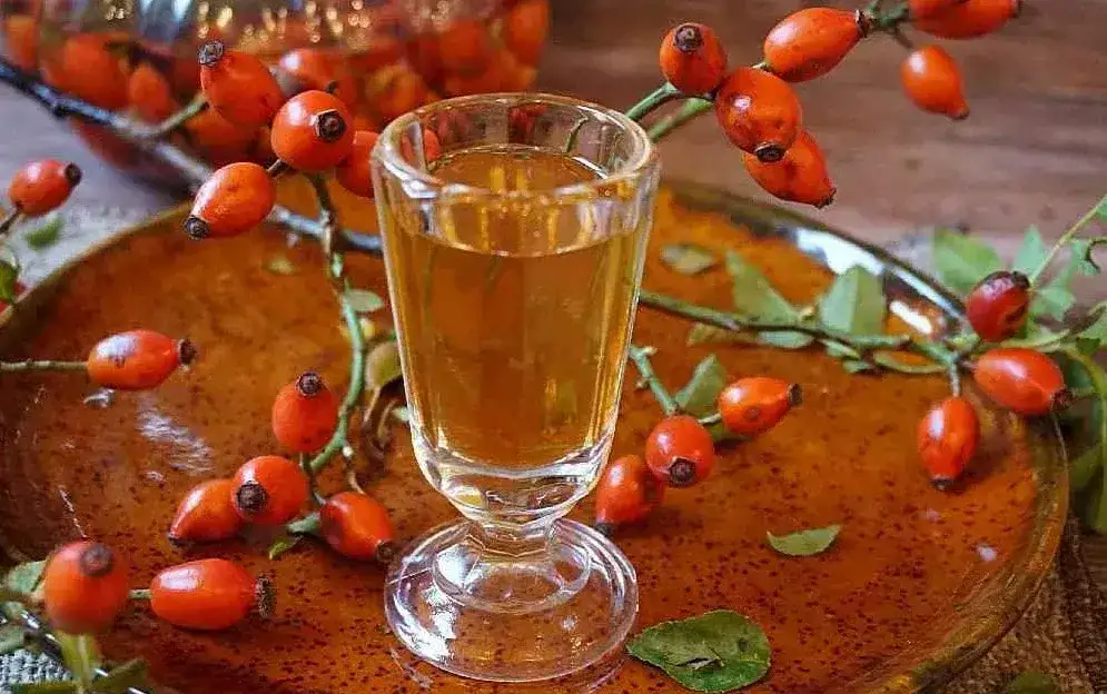 Zdjęcie Jak rozcieńczyć spirytus do nalewki – proste proporcje i triki