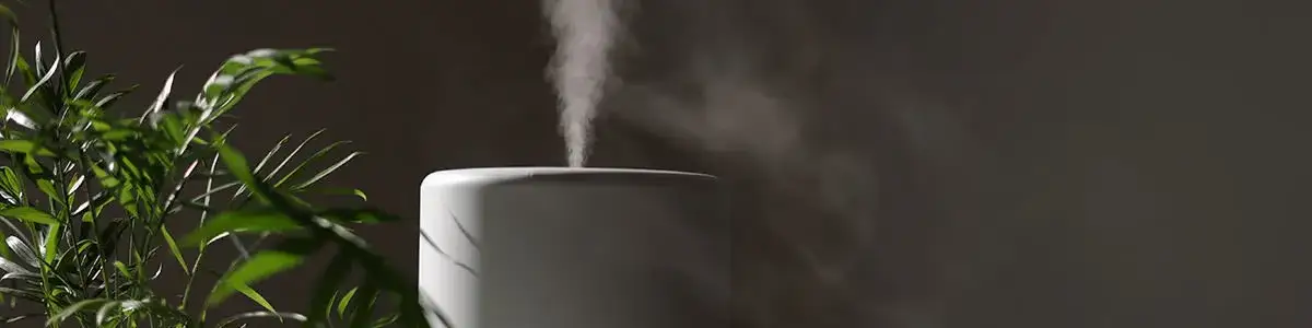 Zdjęcie Jaki oczyszczacz powietrza z nawilżaczem wybrać, by uniknąć problemów z alergią?