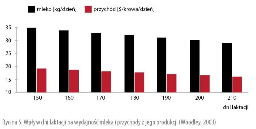 Zdjęcie Ile trwa laktacja u krów? Zaskakujące fakty i wpływ na hodowlę
