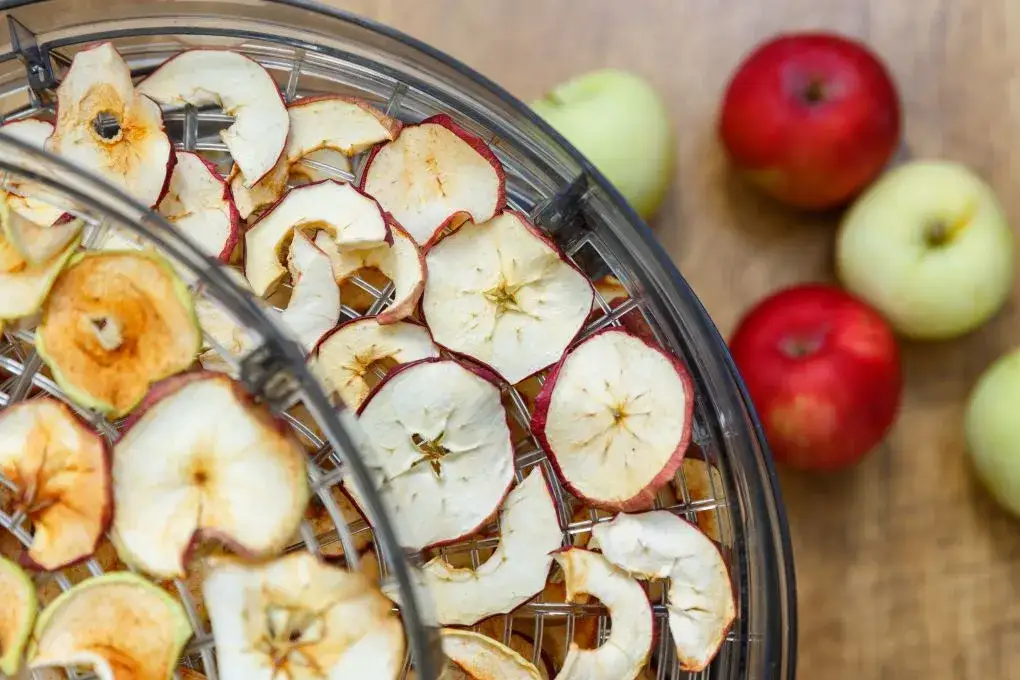 Zdjęcie Ile suszyć jabłka w suszarce, aby uniknąć przesuszenia i straty smaku