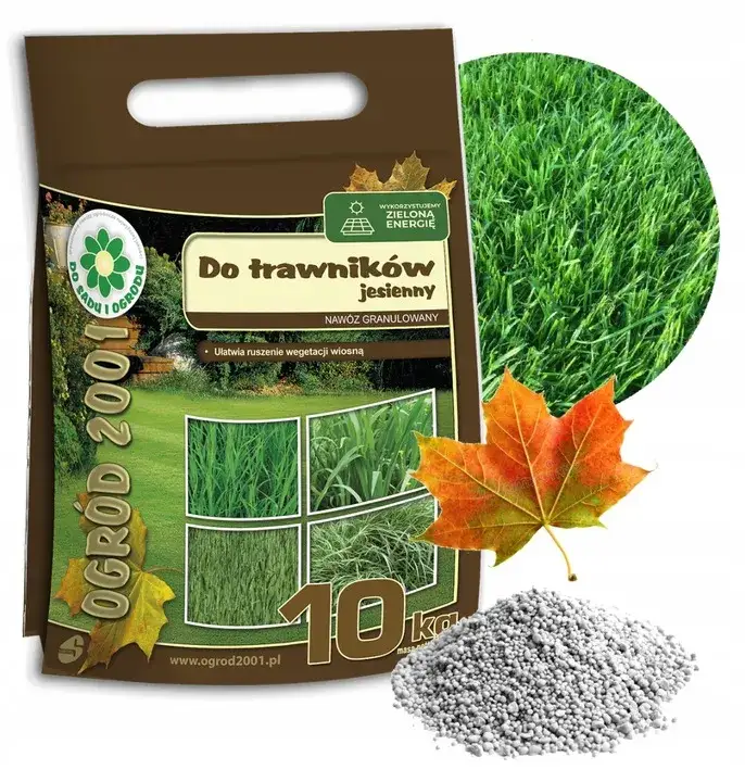 Zdjęcie Jaki nawóz do trawy na jesień? Odkryj najlepsze rozwiązania na zimę