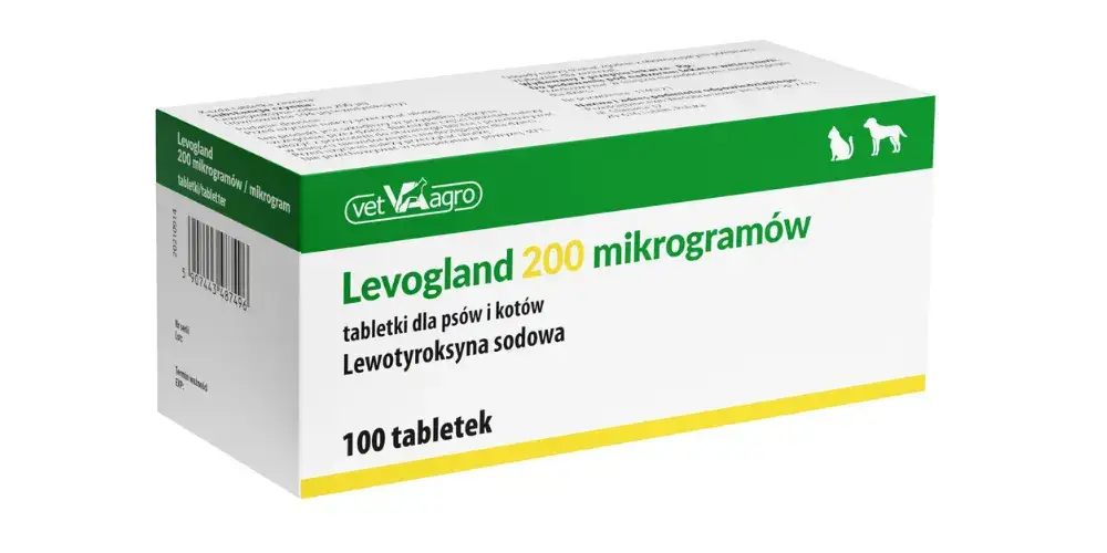 Zdjęcie Ile pyralginy dla psa? Bezpieczne dawkowanie i skutki uboczne