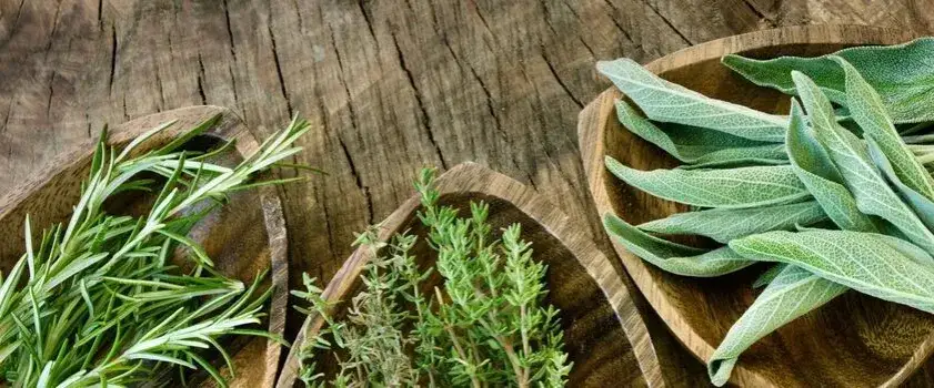 Zdjęcie Jaką herbatę wybrać na zatrucie pokarmowe, aby złagodzić objawy?