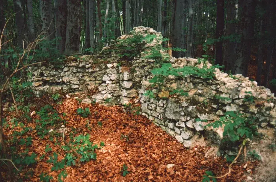 Zdjęcie Ruiny zamku w Udorzu - tajemnice średniowiecznej fortecy w lesie