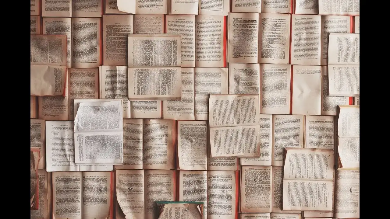 Zdjęcie Skąd się bierze papier? Fascynujący film edukacyjny dla dzieci