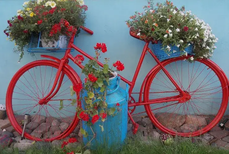 Zdjęcie Jak zrobić kwietnik z roweru: prosty sposób na wyjątkową dekorację ogrodu