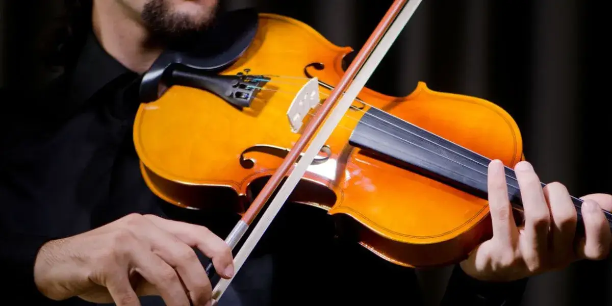 Zdjęcie Ile kosztują skrzypce elektryczne? Porównanie cen i najlepsze opcje zakupu