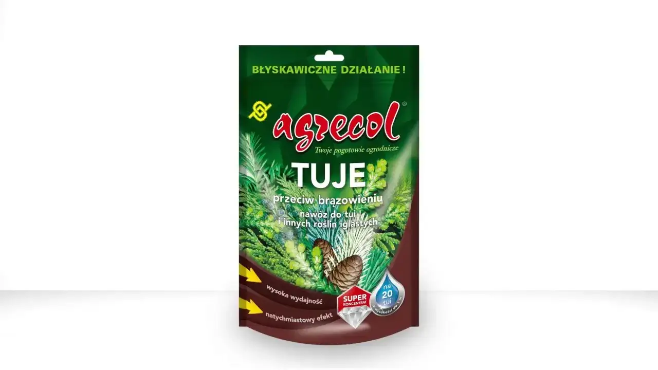Zdjęcie Jaki nawóz pod tuje na zimę, aby uniknąć brązowienia igieł?