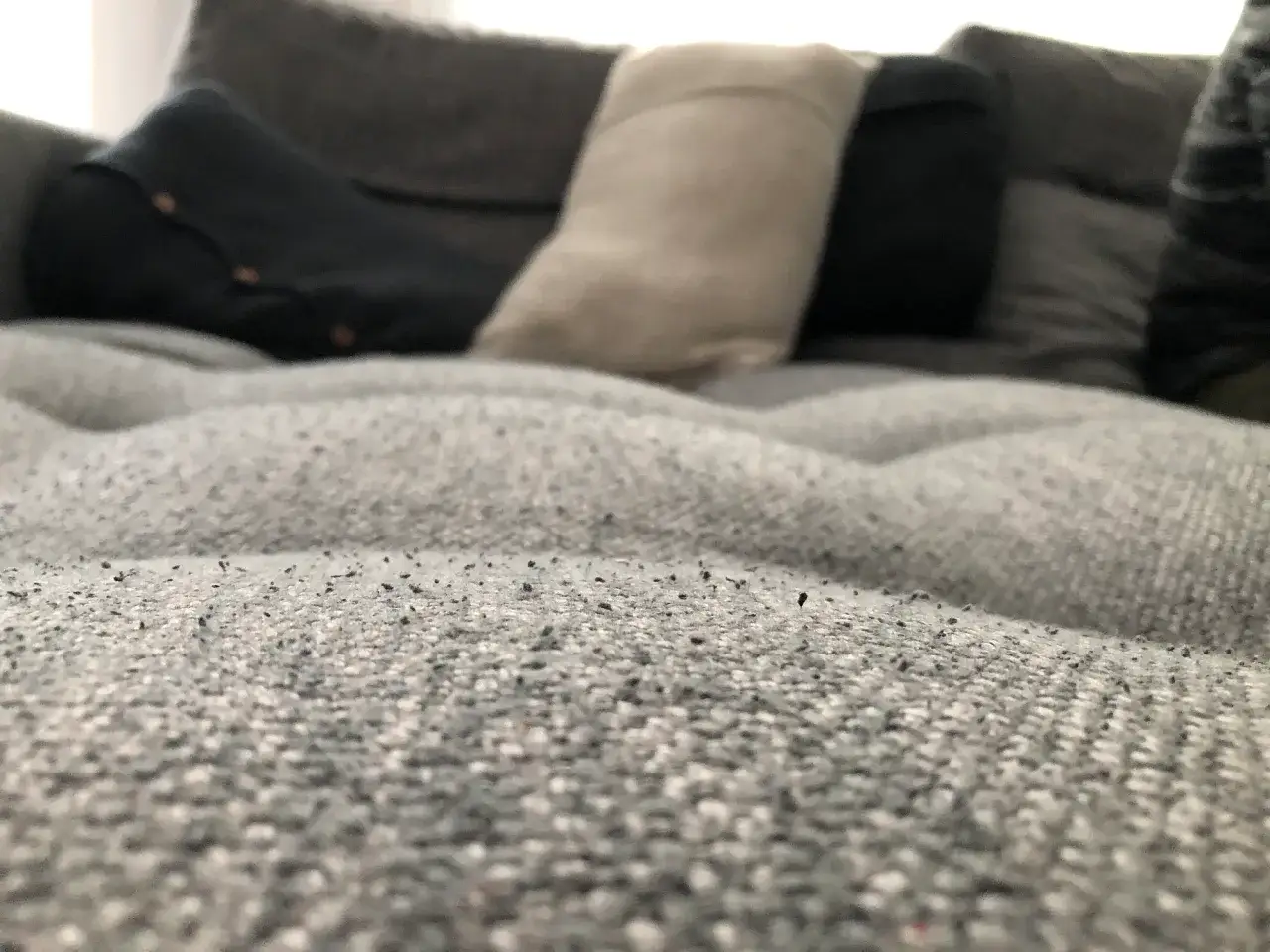 Zdjęcie Jak usunąć zmechacenia z kanapy – skuteczne metody na pilling