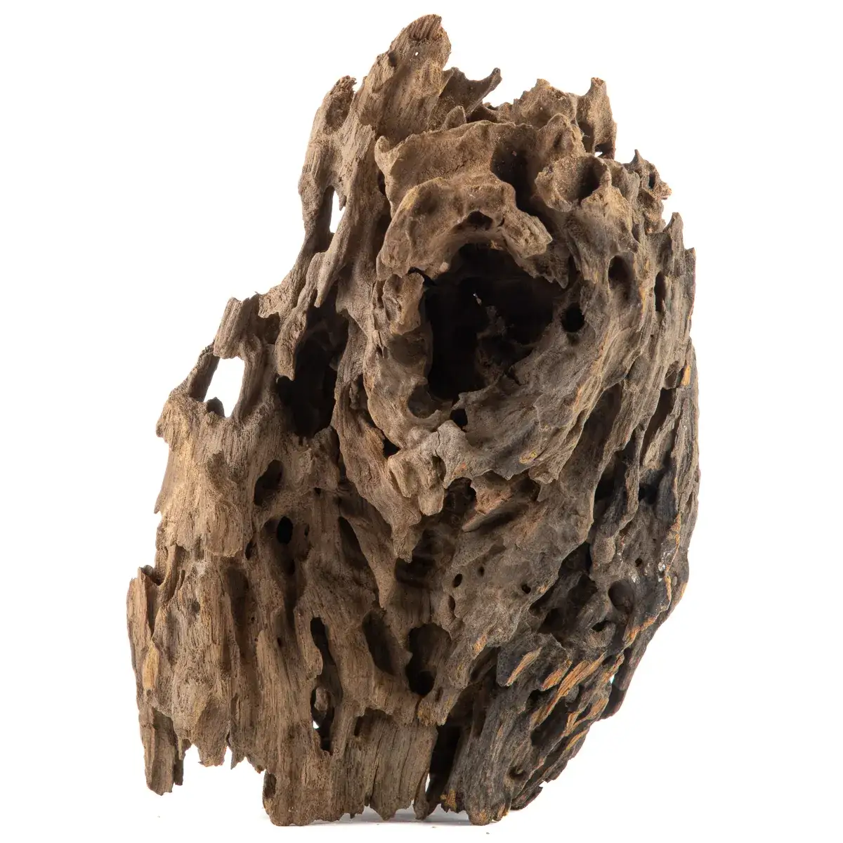 Zdjęcie Jak zrobić korzeń do akwarium, aby uniknąć problemów z wodą