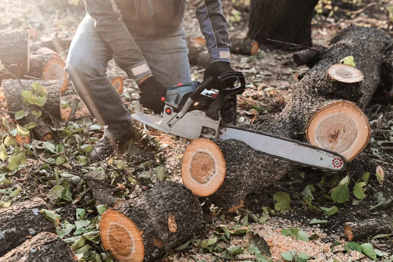 Zdjęcie Linka do cięcia: Alternatywa dla piły? Wady i zalety