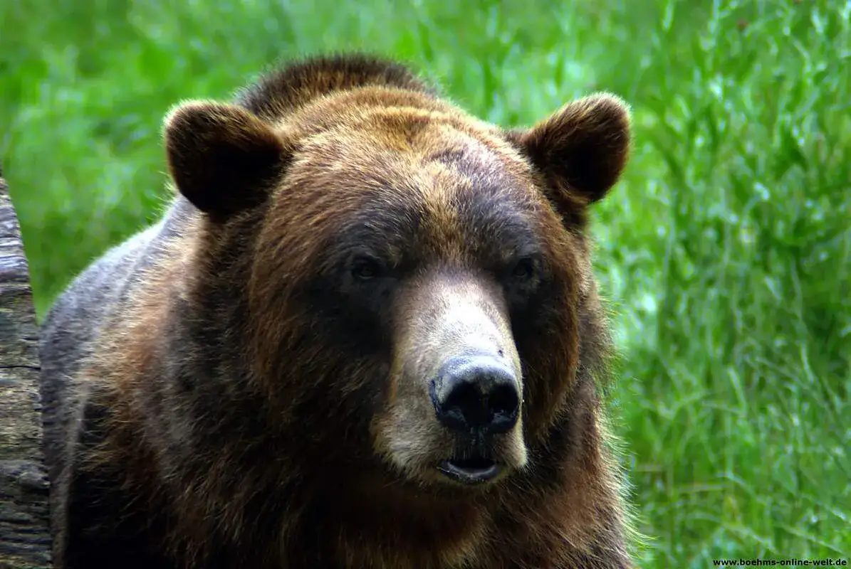 Zdjęcie Najlepsze atrakcje w Bielefeld, które musisz zobaczyć podczas wizyty