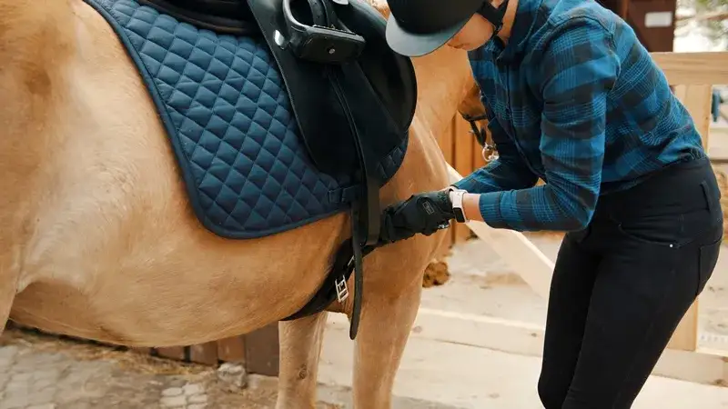Zdjęcie Jak osiodłać konia w 5 prostych krokach, aby uniknąć błędów