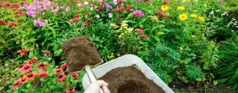 Zdjęcie Jak zrobić kompost ze słomy i uzyskać cenny naturalny nawóz dla roślin