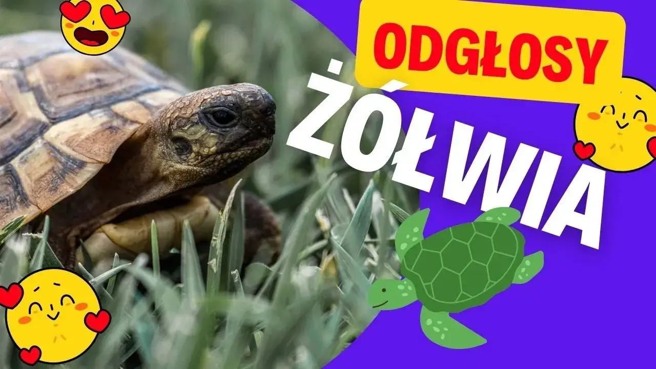 Zdjęcie Jakie dźwięki wydaje ż&oacute;łw? Odkryj ich fascynujące odgłosy