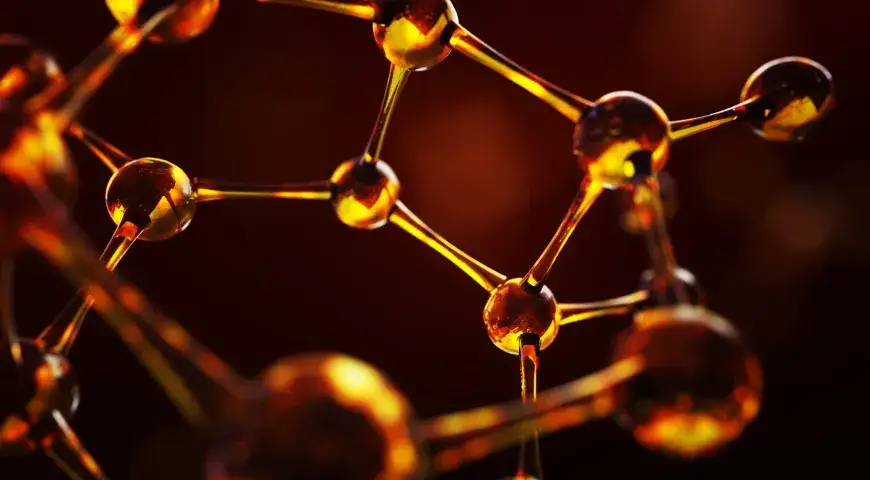 Zdjęcie Co mogą odsłonić badania metaboliczne OAT? Poznaj możliwości.