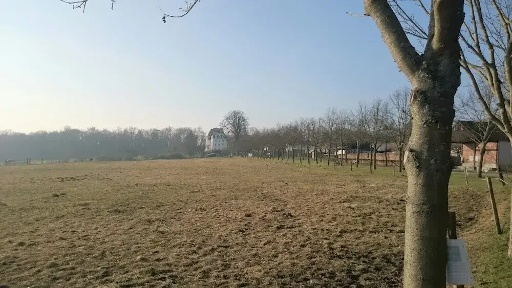 Zdjęcie Jak podzielić działkę współwłasność? Kluczowe kroki i porady prawne