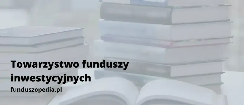 Zdjęcie Towarzystwo funduszy inwestycyjnych: Jak nie stracić pieniędzy inwestując mądrze?