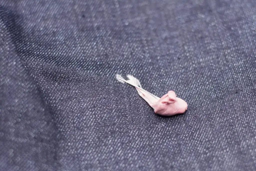 Zdjęcie Jak usunąć gumę z ubrania żelazkiem - skuteczne metody i porady