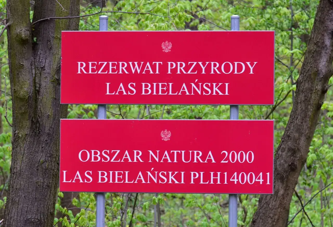 Zdjęcie Najbliższy rezerwat przyrody – odkryj piękno natury w pobliżu