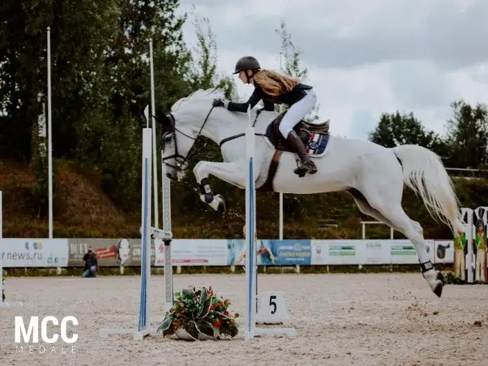 Zdjęcie Blog o jeździectwie: odkryj tajemnice zdrowia i treningu koni