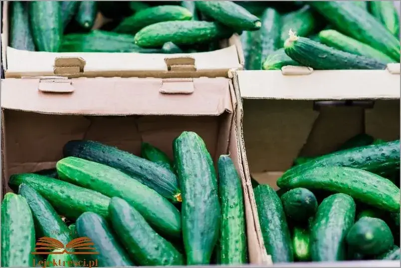 Zdjęcie Kto odkrył ziemniaki? Historia, która zaskoczy każdego miłośnika kulinariów