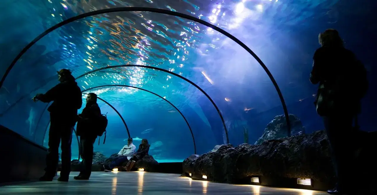 Zdjęcie Oceanarium w Holandii: Niezapomniane atrakcje w Rotterdamie i Scheveningen