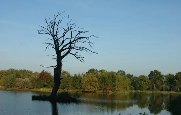 Zdjęcie Łowisko Wodna Dolina – idealne miejsce na wędkarskie przygody w Pruchnej