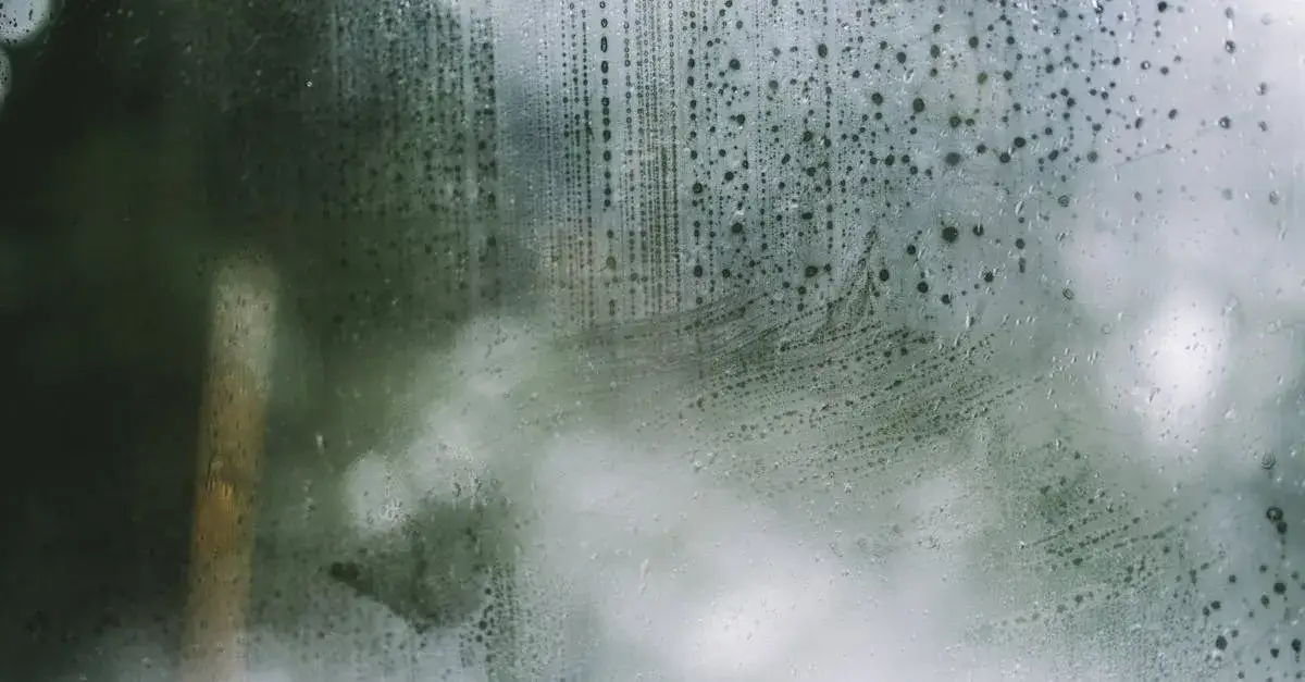 Zdjęcie Zakon cystersów: Tajemnice mnichów, którzy zmienili Europę