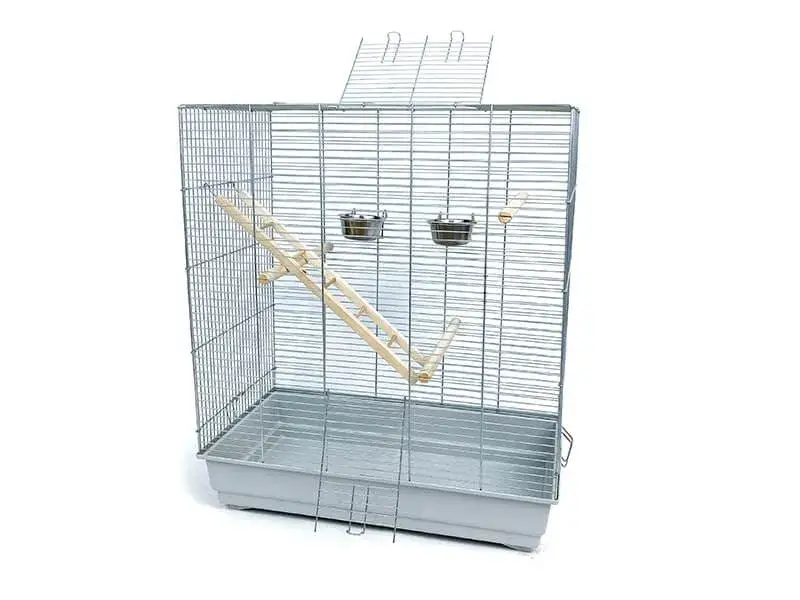 Zdjęcie Ile kosztuje klatka dla papugi? Zobacz aktualne ceny wszystkich typów