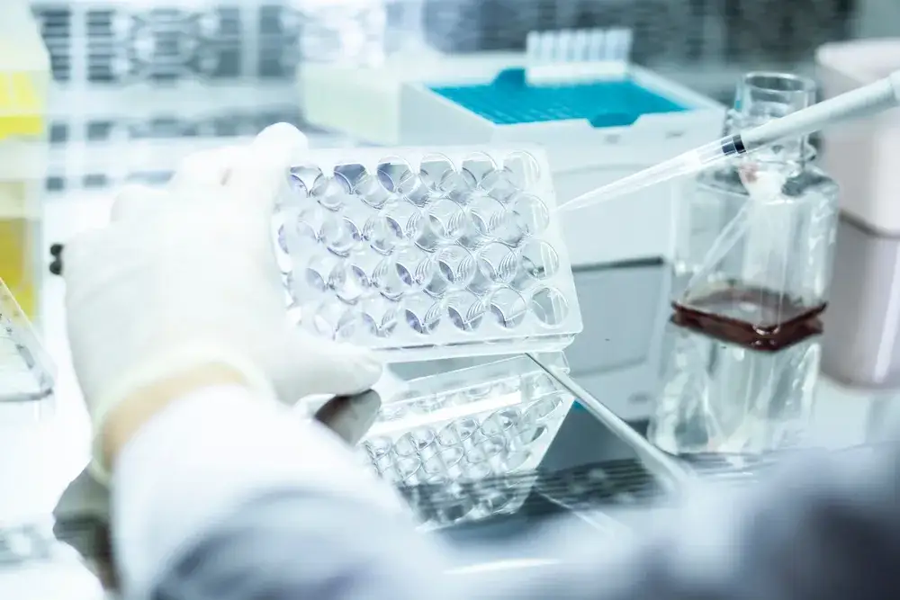 Zdjęcie Czy in vitro to grzech? Poznaj kontrowersje i naukę Kościoła