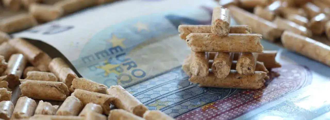 Zdjęcie Dofinansowanie pelletu 2025 Jak uzyskać dopłatę na zakup pelletu