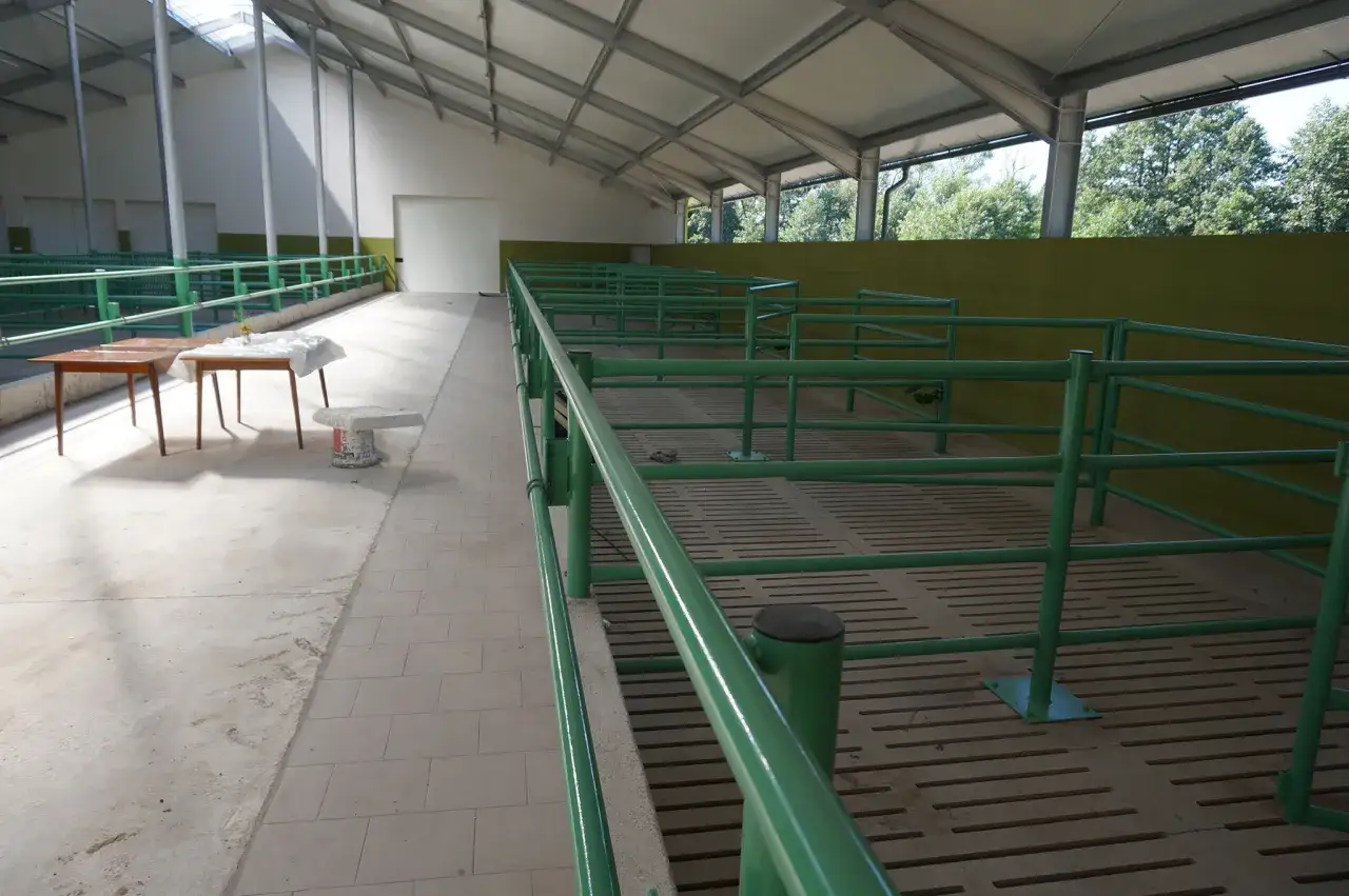 Zdjęcie Ile kosztuje budowa obory na 50 krów? Zaskakujące koszty i czynniki wpływające na cenę