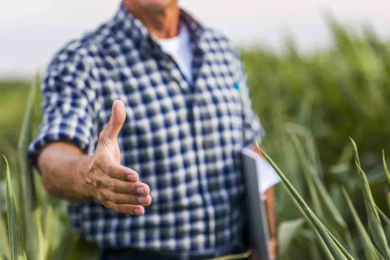 Zdjęcie Kto może wydzierżawić grunty rolne? Sprawdź wymagania i zasady