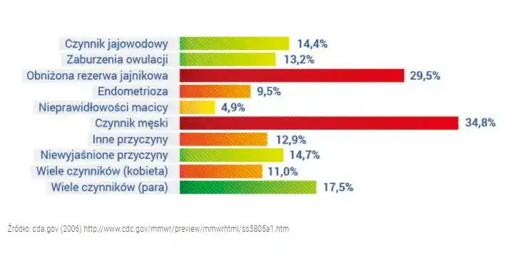 Zdjęcie Kiedy in vitro nie ma sensu? Poznaj kluczowe przeciwwskazania