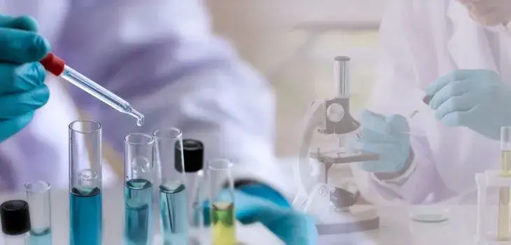 Zdjęcie Jakie studia po rozszerzonej biologii? Odkryj najlepsze kierunki i kariery