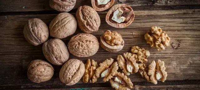 Zdjęcie Gdzie wyrzucić orzechy włoskie? Odpowiedzialna utylizacja odpadów