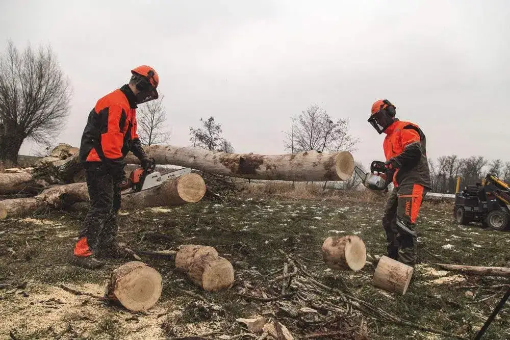 Zdjęcie Czy warto kupić pilarkę akumulatorową? Odkryj zalety i wady