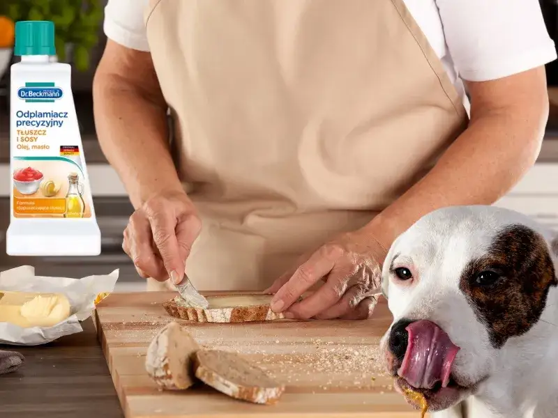 Zdjęcie Gdzie kupić dylon sos odplamiacz? Sprawdź najlepsze oferty teraz