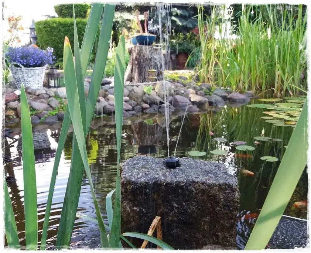 Zdjęcie Jak stworzyć estetyczne i funkcjonalne prostokątne oczko wodne w ogrodzie