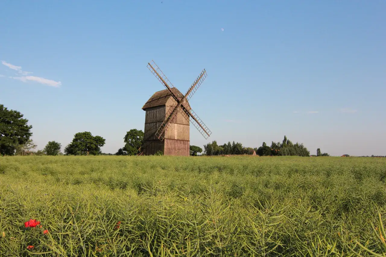 Zdjęcie Najlepsze trasy rowerowe w Wielkopolskim Parku Narodowym, które musisz poznać