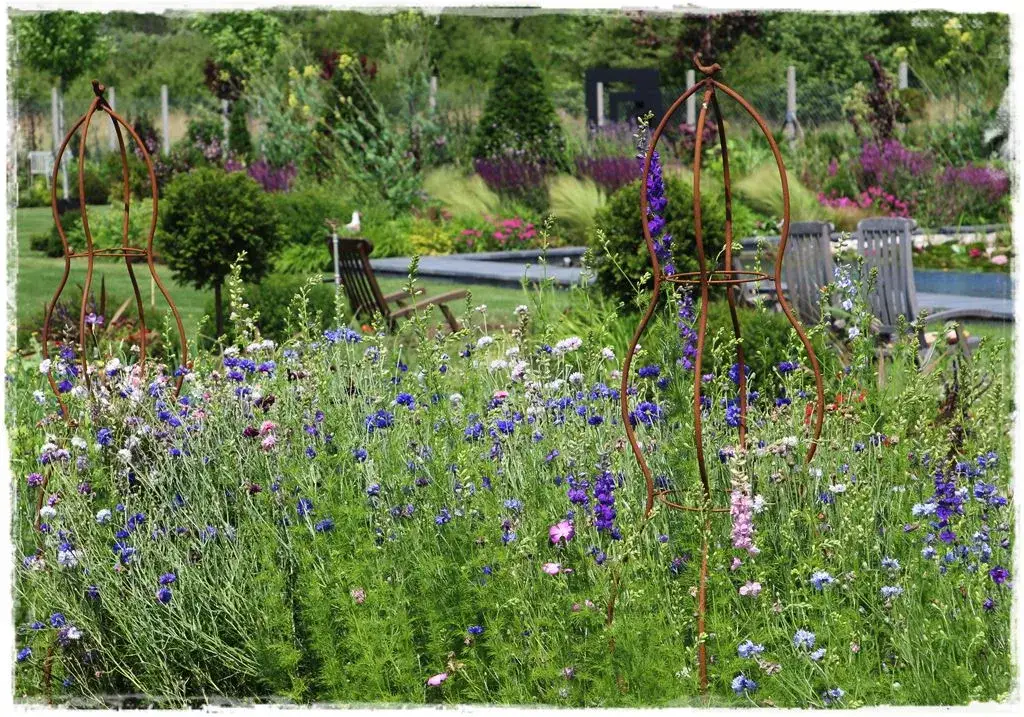 Zdjęcie Łąka Kwietna Krok po Kroku: Siew i Pielęgnacja